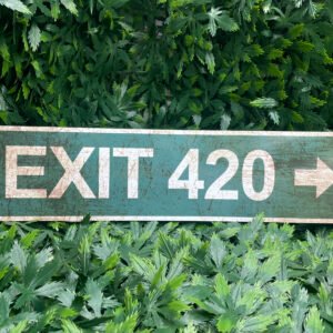 Exit 420 - Street Sign