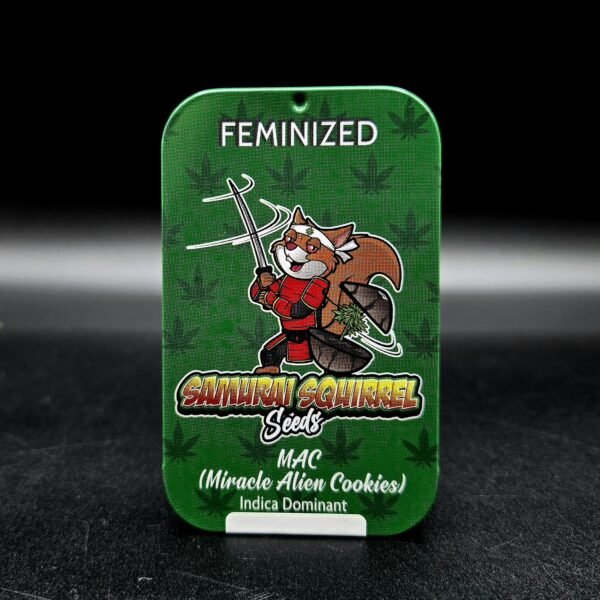 Samurai Squirrel Seeds 5ct/ Miracle alien cookies Feminized
