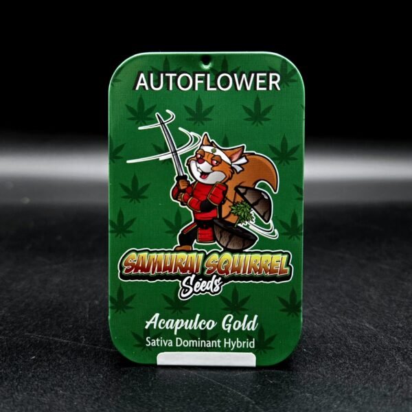 Samurai Squirrel Seeds 5ct/ Acapulco Gold Autoflower