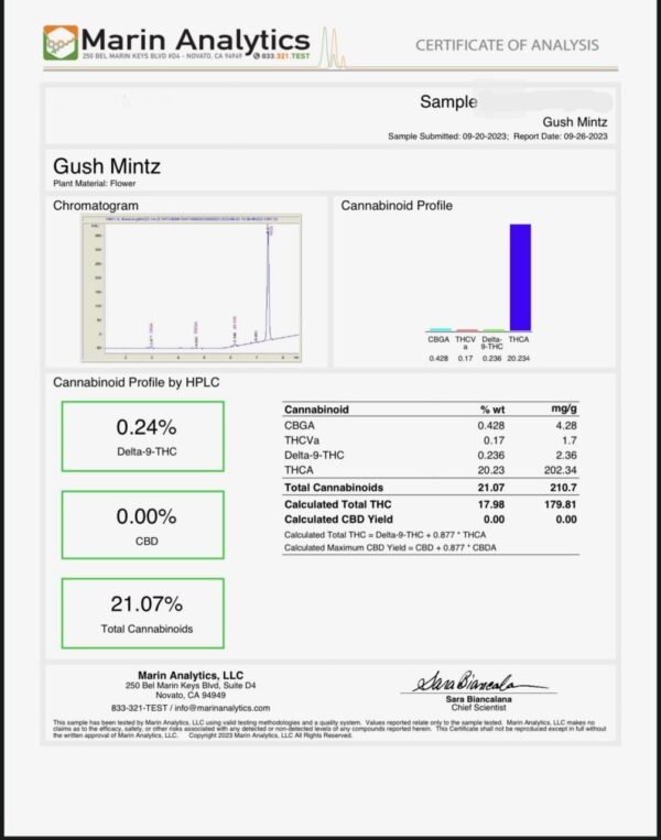 Gush Mintz - Indica - Image 2
